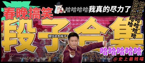 关于春晚的搞笑段子,搞笑段子盘点，欢乐无限