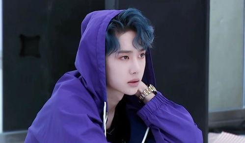 大王娱乐的艺人,璀璨星光，共筑娱乐盛宴”
